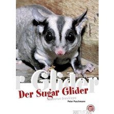 Delixa Der Sugar Glider: Petaurus Breviceps: Art Für Art (Art Für Art: Kleinsäuger): 7