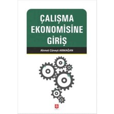 Delixa Çalışma Ekonomisine Giriş