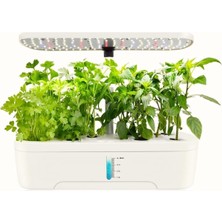 Delixa Hidroponik Topraksız 12 Bölme Bitki Yetiştirme Kiti 3 Mod 139 LED Tam Spekturum Bahçe Kit