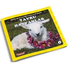 Yavru Hayvanlar Benim Hayvan Arkadaşlarım Yumurcak