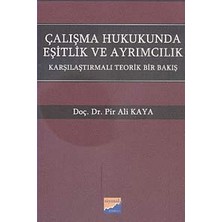 Delixa Çalışma Hukukunda Eşitlik ve Ayrımcılık: Karşılaştırmalı Teorik Bir Bakış (Kapak Değişebilir)