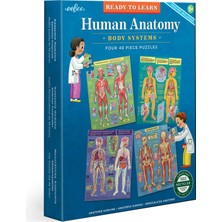 Delixa Eeboo: Öğrenmeye Hazır: Insan Anatomisi 4 Bulmaca - Vücut Sistemleri 4-48 Parça Yapboz Seti, Eğitim