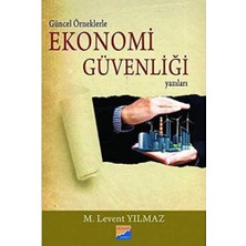 Hepta Collection Güncel Örneklerle Ekonomi Güvenliği Yazıları