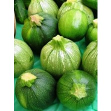 Hepta Collection Erdem Garden Doğal Topak Kara Kabak Tohumu Karatopak 20 Ad. Tohum