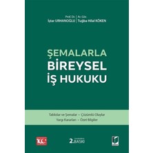 Hepta Collection Şemalarla Bireysel Iş Hukuku