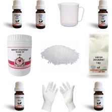 Hepta Collection Evde Doğal Bulaşık Deterjanı Yapım Seti
