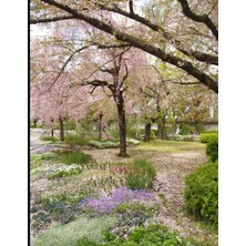 Hepta Collection Gardening Schedule