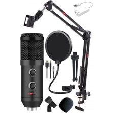 Hepta Collection BM300 USB Condenser Mikrofon Stand ve Filtre (BM800 Usb)