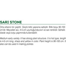 Hepta Collection Ata Tohumu Yerli Turşuluk Acı Biber 500 Ad Tohum