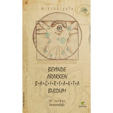 Hepta Collection Beyinde Ararken Bağırsakta Buldum