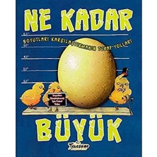 Hepta Collection Boyutları Karşılaştırmanın Tuhaf Yolları Ne Kadar Büyük: Boyutları Karşılaştımanın Tuhaf Yolları
