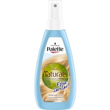 Palette Kalıcı Doğal Renkler Renk Açıcı Sprey Saç Boyası