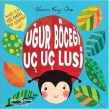 Hepta Collection Uğur Böceği Uç Uç Lusi: Senin Için Kocaman Bir Sürpriz Var!