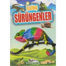 Hepta Collection Ilginç Sürüngenler - Ilginç Bilgiler Serisi