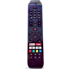Hepta Collection Hitachi RC43141 Tv 24HB21T65U 32HB26T61UA 43HB26T72U 43HK25T74U