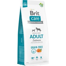 Hepta Collection Skin & Coat, Deri ve Tüy Hassasiyeti Olan, Yetişkin Köpekler Için, Tahılsız, Somon Balıklı Kuru Mama