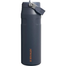 Hepta Collection The Iceflow™ Bottle Straw 2.0 / 24OZ Termos 0.07L 10-11283-146 Twilight