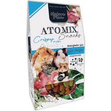 Nature Plan Snacks Çıtır Karışım 250 gr