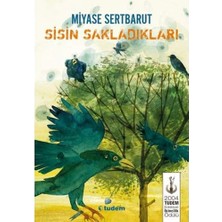 Hepta Collection Sisin Sakladıkları