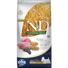 Hepta Collection Düşük Tahıllı Kuzulu Küçük Irk Yetişkin Köpek Maması - 7 kg