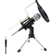 Hepta Collection Dailytech Kareoke Kondenser Mikrofon Telefon ve Bilgisayar Uyumlu