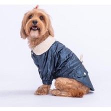 Pawstar Blue Brillante Su Itici Küçük Irk Köpek Yağmurluğu (Xl)