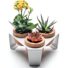 Halohope Beyaz Metal Stantlı 3’lü Skulent Saksısı – Metal Stant ve Meşe Saksılar, Modern Tasarım, Dekoratif Ç