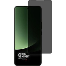 Care Case Samsung Galaxy S23 Fe Için Özel Tpu Nano Mat Hayalet Ekran Koruyucu
