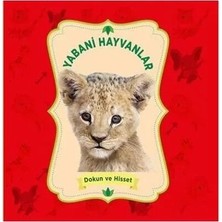 0-6 Yaş Yayınları Yabani Hayvanlar Dokun ve Hisset 0-6 Yaş