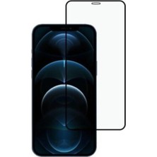 Universal Iphone 12 Pro Max Full 3D Siyah Seramic Ekran Koruyucu Blue Team