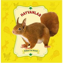 0-6 Yaş Yayınları Sevimli Hayvanlar Dokun ve Hisset