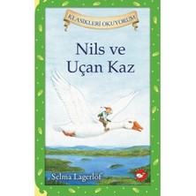 Nils ve Uçan Kaz Beyaz Balina