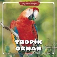 Tropik Orman Hayvanlar Dünyası Yumurcak