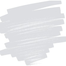 Pilot Pintor Ef, Gümüş