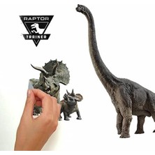 Jurassic World Fallen Kingdom Soy ve Yapıştır Duvar Çıkartmaları, 'ten RMK3798SCS