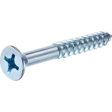 40037 6-Inç x 2-1/2-Inç Düz Başlı Phillips Ahşap Vida, 100&APOS;LÜ Paket, Çinko