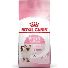 Royal Canin Kitten Kedi Kuru Maması 4 kg İstiridye Tatlı ile 12 Aydan Küçük Kediler