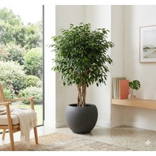 Effe Pot Decoration Bella Model Poliüretan Kompozit Dekoratif Saksı 29X28CM