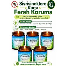Decevorine Citronella Sivrisineğin Sevmediği Kokularla Tasarlanan Açık Alan Mumu 100 gr 5 Lipaket