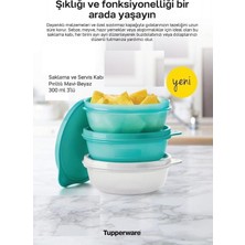 Tupperware Saklama ve Servis Kabı 3 Lü Set 300 ml