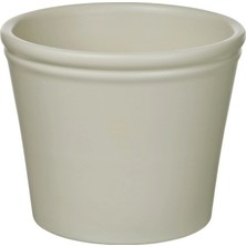IKEA Körsbarsbjörk Açık Gri-Bej 9 cm Toprak Saksı