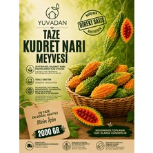 Yuvadan 2 kg Taze Kudret Narı Meyvesi - Karela, Bitter Gourd, Bitter Melon