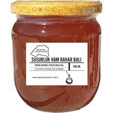 Manyas Lezzetleri Susurluk Ham Bahar Balı  500 Gr.