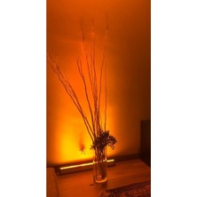Empressco 10 cm Dekoratif Aydınlatma Wallwasher Amber