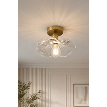 Luna Lighting Alya Model Şeffaf Cam Klasik Salon Mutfak Oturma Odası Balkon Plafonyer Tekli Avize