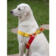 Balkonda Köpek Göğüs Tasması Orta ve Büyük & Dev Irk Ayarlamalı Kolon Kordon Sarı & Kırmızı Taraftar