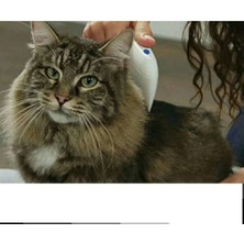 Flea Doctor Pet Hayvanlar Için Haşere Öldürücü Pilli Pire Tarağı (  )