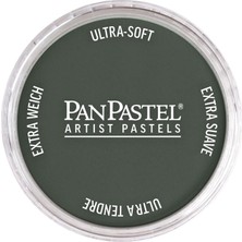 Panpastel Ultra Soft Artist Pastel Boya Neutral Gray Extra Dark 28202