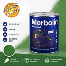 Merbolin MRB-075 Sentetik Yağlı Boya Çimen Yeşili 0,75 Litre Çimen Yeşil