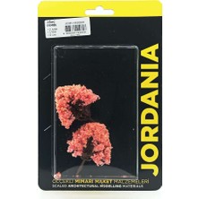 Jordania Maket Ağaç 1100 Ölçek 6 cm 2li Pembe JE03P-T302060F